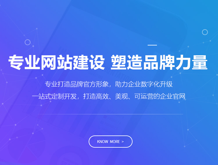 果洛建站-专业网站建设 塑造品牌力量